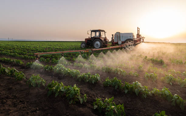 Best Mosquito Control Services  in Stanton, CA