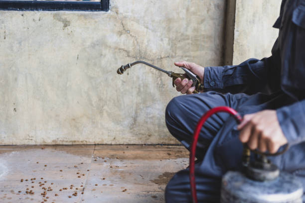 Best Pest Prevention Services  in Stanton, CA